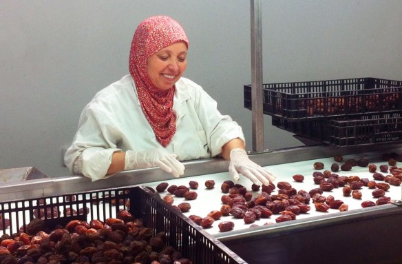 Processing premium quality Medjool dates at a Palestinian-owned factory in the Jordan Valley.  The possibility of greater access to the fertile soil and water of the Israeli-occupied parts of the Valley and "Area C" as a result of the current negotiations between Israel and the Palestinian Authority is a major factor in encouraging both local and foreign entrepreneurs to invest in the West Bank.  Photo: fablenaturals.com.